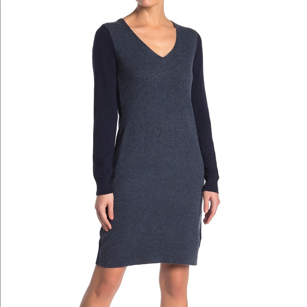Club Monaco Sweater Dress